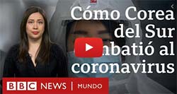 noticias sistema inmunologico